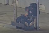 Kamera v Bratislave zachytila zlodeja pri cine Mestsky policajti tvrdia ze okradnutie spiaceho sledovali nazivo