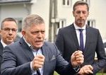 Konzervativci maju poslednu sanzu porazit Smer Ak to nevyjde spoji sa s nim komentr Martina Behula