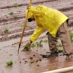 El Niño ohrozuje milióny detí v Latinskej Amerike, hrozia suchá a povodne