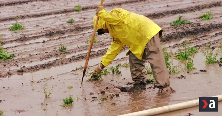 El Niño ohrozuje milióny detí v Latinskej Amerike, hrozia suchá a povodne