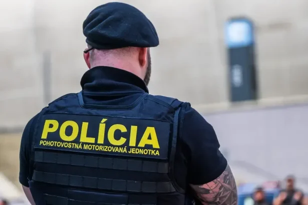 Mladík v Rožňave sa vyhrážal matke zabitím, polícia ho zadržala