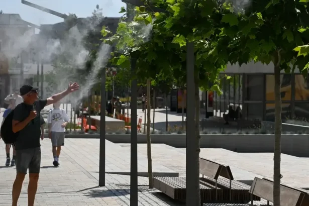 Na Slovensku zomrelo v dôsledku horúčav 12 ľudí