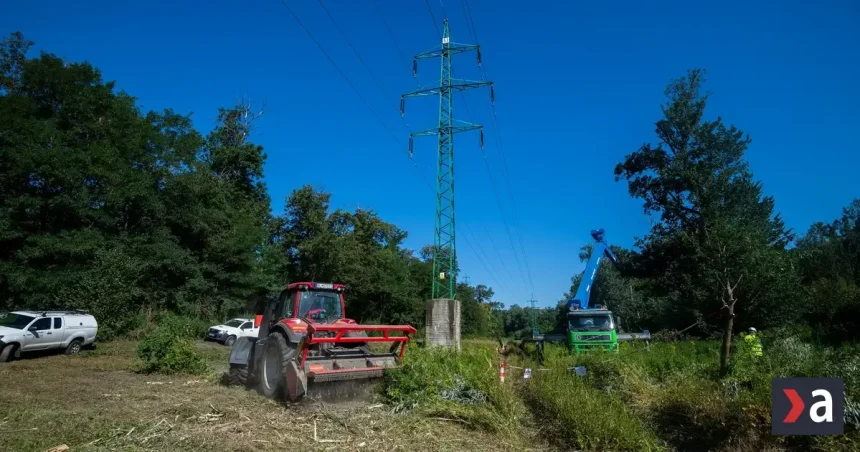 Najvyšší súd zamietol dovolanie štátu v kauze Pečnianskeho lesa