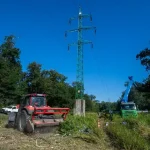 Najvyšší súd zamietol dovolanie v dlhoročnom spore o pozemky Pečnianskeho lesa
