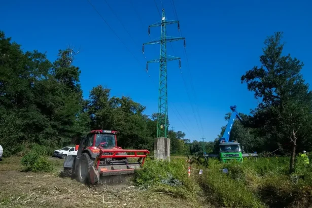 Najvyšší súd zamietol dovolanie v dlhoročnom spore o pozemky Pečnianskeho lesa