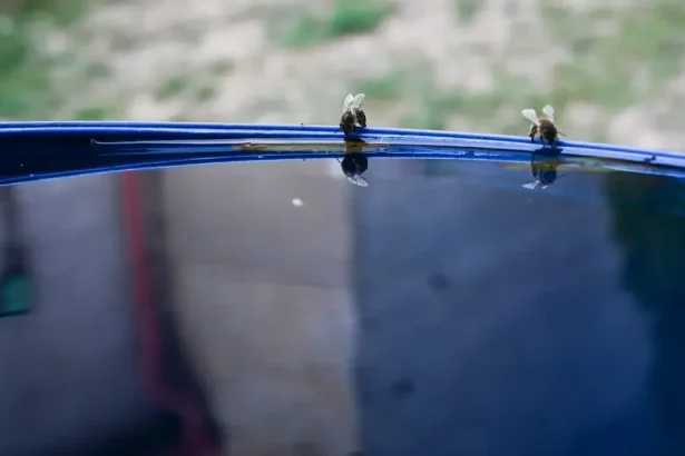 Po chladnej noci prichádza príjemne teplý deň