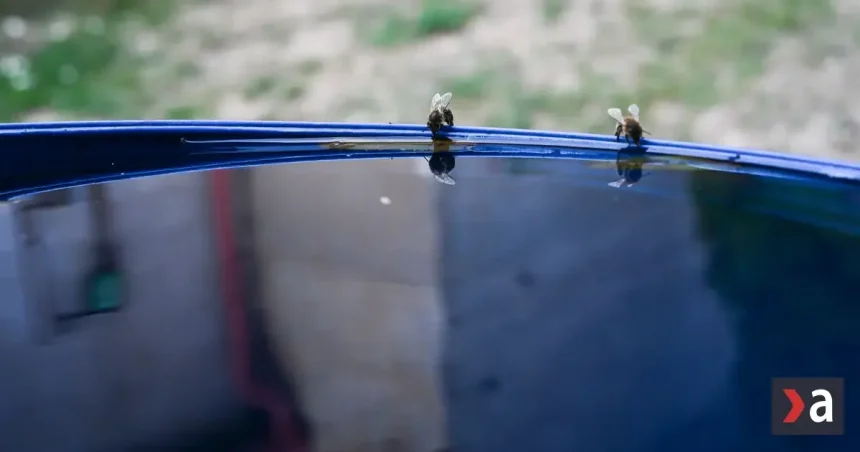 Po chladnej noci prichádza príjemne teplý deň