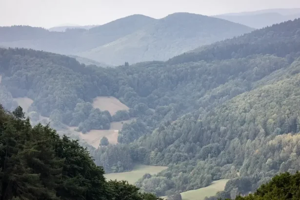 Pokojná hviezdna noc prinesie chlad: V údoliach hrozia prízemné mrazy a hmly