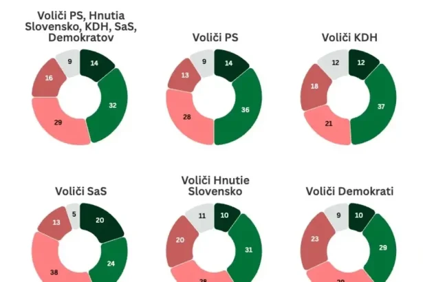 Prieskum: Voliči opozície nedávajú politikom jasný signál o Maďarskej aliancii