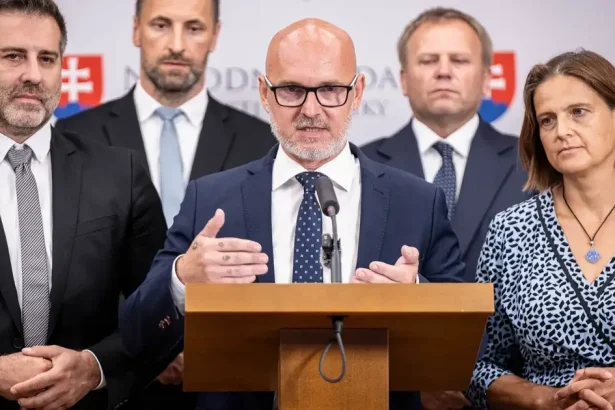 SaS: Vláda zlyhala pri sviatku, ekonomiku nerieši