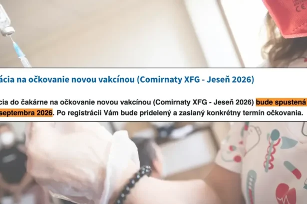 Sezóna je tu: Česi sa už hromadne očkujú, na Slovensku registrácia zatiaľ nezačala
