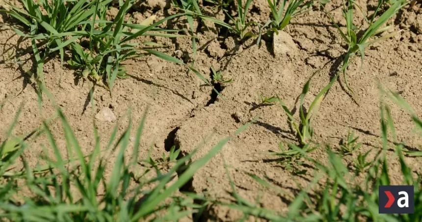Sucho sužuje Európu. Najsuchší august majú aj Slovensko a ďalších osem krajín