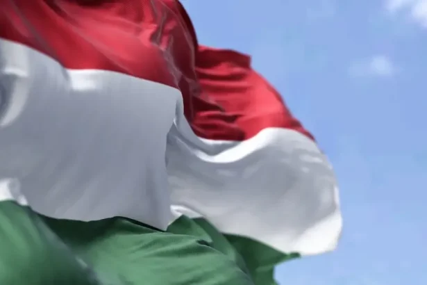 V Maďarsku objavili nebezpečný invázny hmyz, ktorý ničí úrodu