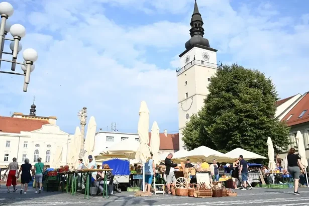 Ako bude vyzerať zastupiteľstvo Trnavského kraja: kompletné výsledky