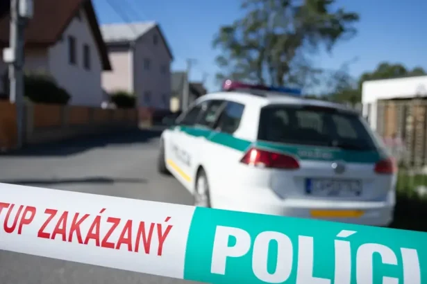 Analytik označil najvážnejšiu chybu, ktorá viedla k dvojnásobnej vražde v Staškove