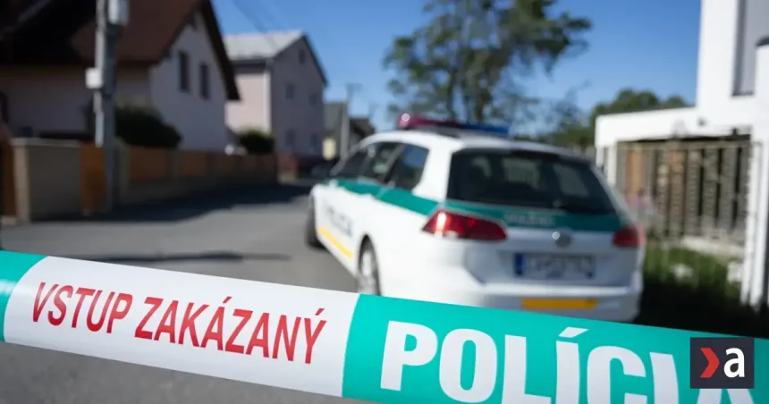 Analytik označil najvážnejšiu chybu, ktorá viedla k dvojnásobnej vražde v Staškove
