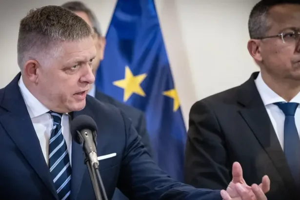Kapitulácia, špirála nekompetentnosti a obrátenie sa na Ústavný súd pre rozpočet