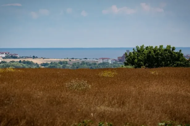 Na západnom Slovensku sa v nedeľu zatiahne a miestami zaprší, na horách hrozí víchrica