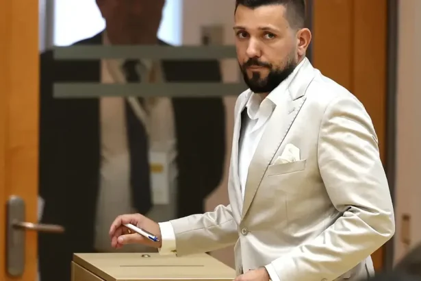 Nemecká AfD po odmietnutí BMW oslavuje Teslu od Elona Muska