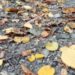 Ochladenie ukončí letné teploty, ktoré tento týždeň pripomínali leto