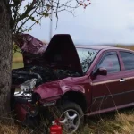 Opitý šofér s takmer 2,5 promile vrazil do stromu, prišiel o vodičák