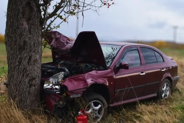 Opitý šofér s takmer 2,5 promile vrazil do stromu, prišiel o vodičák