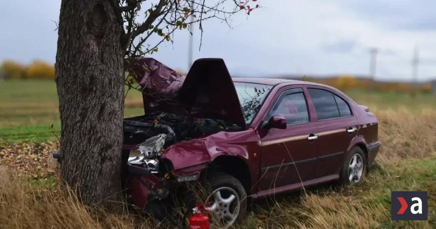 Opitý šofér s takmer 2,5 promile vrazil do stromu, prišiel o vodičák