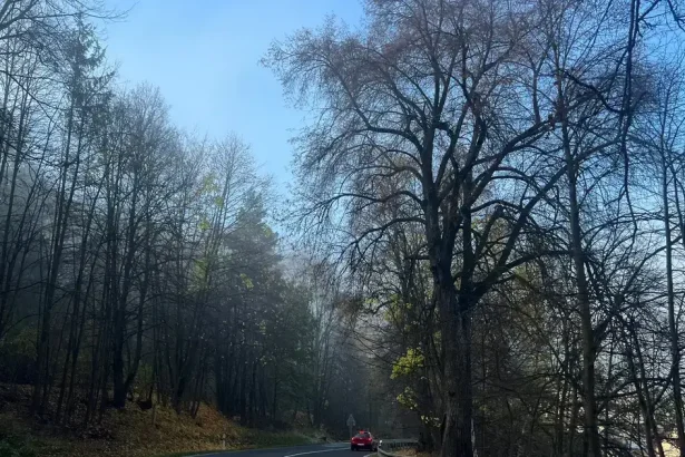 Pokojná, ale chladná jesenná noc: v údoliach hrozí mráz