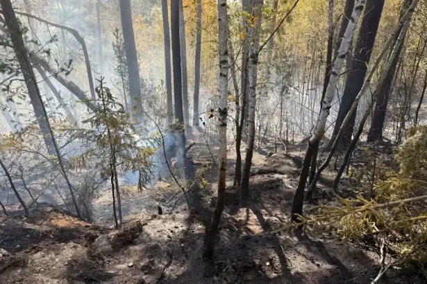 Požiar v katastri Smolníka sa nešíri, dôležitý je aj monitoring požiariska