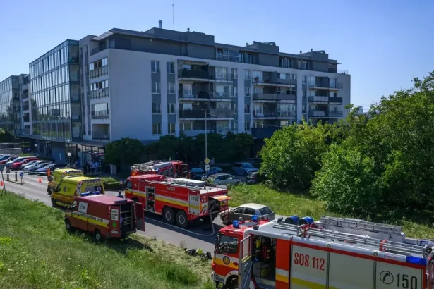 Ružinovská tragédia: Ivanu F. odsúdili za vraždu dvoch detí na 19 rokov