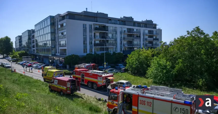 Ružinovská tragédia: Ivanu F. odsúdili za vraždu dvoch detí na 19 rokov