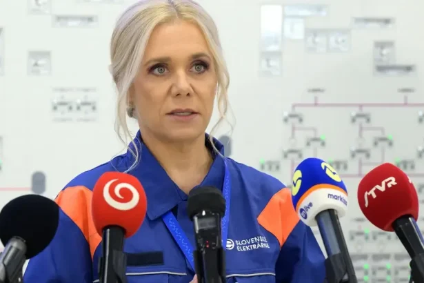 Štát rokuje so Slovenskými elektrárňami o cene elektriny okolo 79 eur
