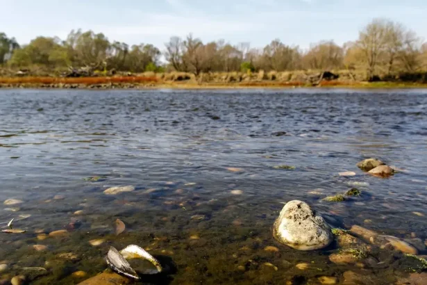 Sucho ničí Slovensko. SHMÚ varuje, že situácia je najhoršia minimálne od roku 2015