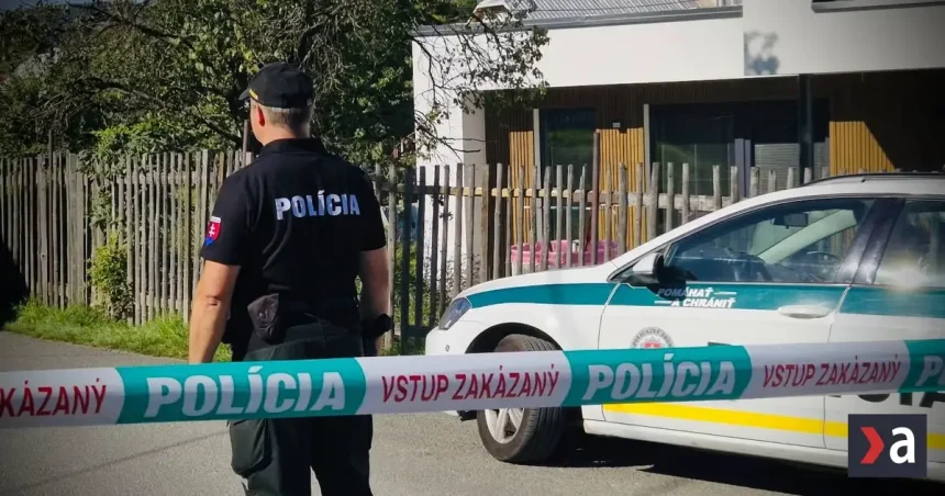 Učiteľka po 30 rokoch: žiak, ktorý naháňa strach. Ako štát chráni školy