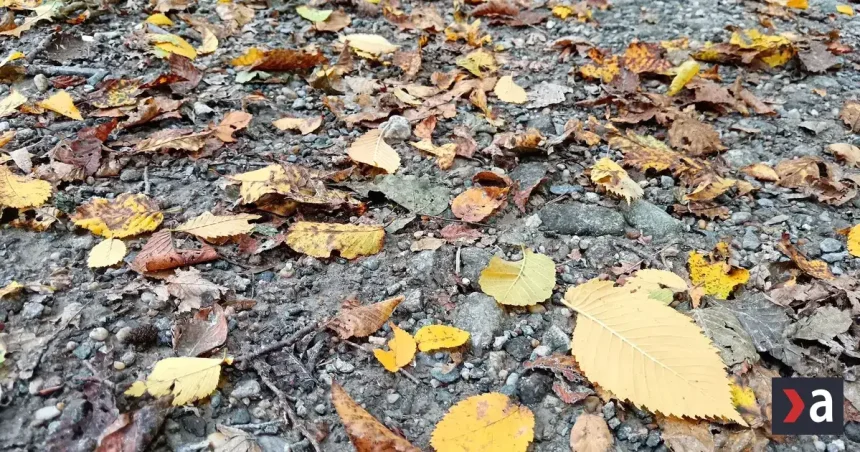 Zrážky zasiahnu v nedeľu východ Slovenska, sever čaká chladnejšie počasie